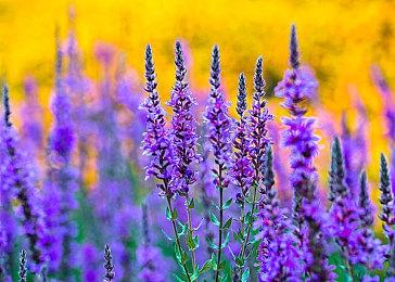 《开拓者：正义之怒》已售出百万份 新DLC3月推出